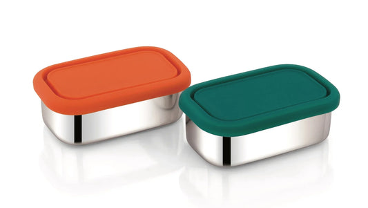 Stainless Steel Snack Rectangle Container Set (Two) for Veggies, Fruit, Chips, Dips and more - BIG FRENCHIES