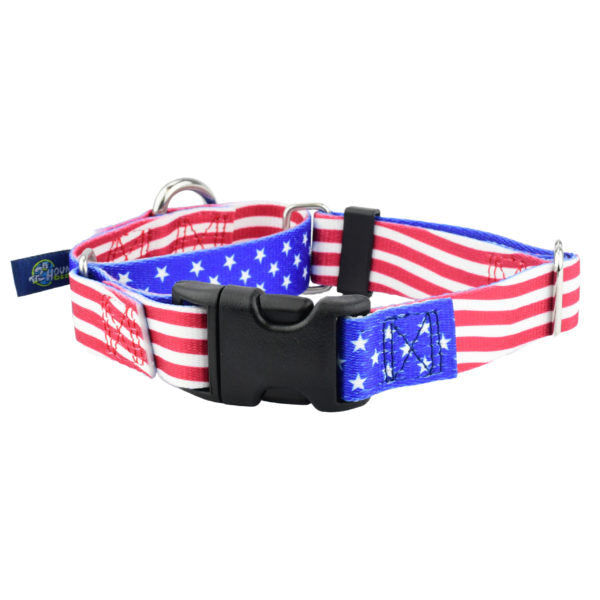 Star Spangled Buckle Martingale Dog Collar – EarthStyle-Pet Collars & Leashes-BIG FRENCHIES-2 Hounds Design