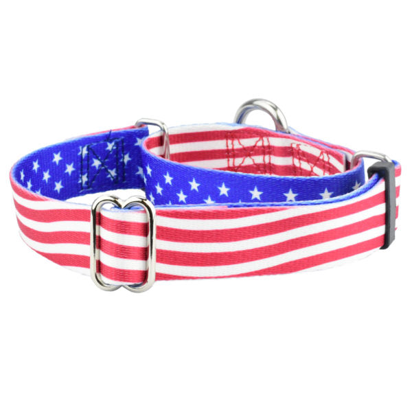 Star Spangled Martingale Dog Collar – EarthStyle-Pet Collars & Leashes-BIG FRENCHIES-2 Hounds Design