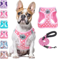 Step-In Dog Harness & Leash Set in Various Patterns – Reflective No Pull (XS- XL)