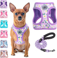 Step-In Dog Harness & Leash Set in Various Patterns – Reflective No Pull (XS- XL)