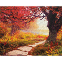 Stone Path 1000 Piece Jigsaw Puzzle Springbok