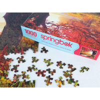 Stone Path 1000 Piece Jigsaw Puzzle Springbok