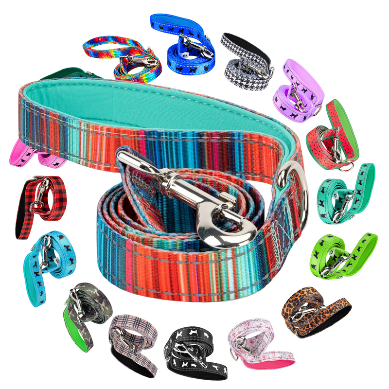 Stripe Dog Leash by EcoBark - Multicolor Padded Comfort Grip Leash - 4ft, 5ft, and 6ft Leash for Small and Medium Dogs - BIG FRENCHIES