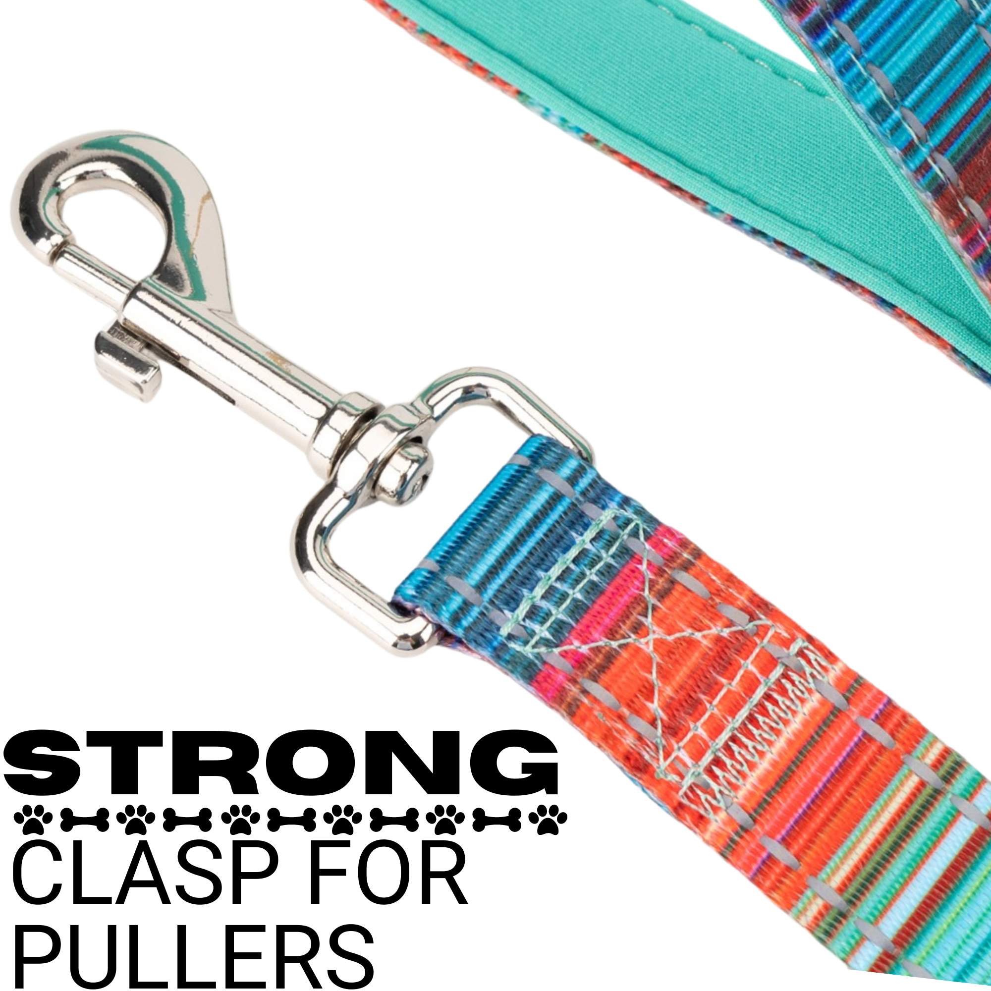 Stripe Dog Leash by EcoBark - Multicolor Padded Comfort Grip Leash - 4ft, 5ft, and 6ft Leash for Small and Medium Dogs - BIG FRENCHIES