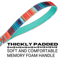 Stripe Dog Leash by EcoBark - Multicolor Padded Comfort Grip Leash - 4ft, 5ft, and 6ft Leash for Small and Medium Dogs - BIG FRENCHIES