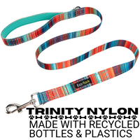 Stripe Dog Leash by EcoBark - Multicolor Padded Comfort Grip Leash - 4ft, 5ft, and 6ft Leash for Small and Medium Dogs - BIG FRENCHIES