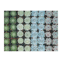Succulent Garden Double-Sided 500 Piece Jigsaw Puzzle Galison - BIG FRENCHIES