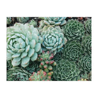 Succulent Garden Double-Sided 500 Piece Jigsaw Puzzle Galison - BIG FRENCHIES