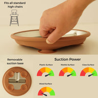 Stainless Steel Plate Set of 2 (Mocha Mousse & Sage Green)