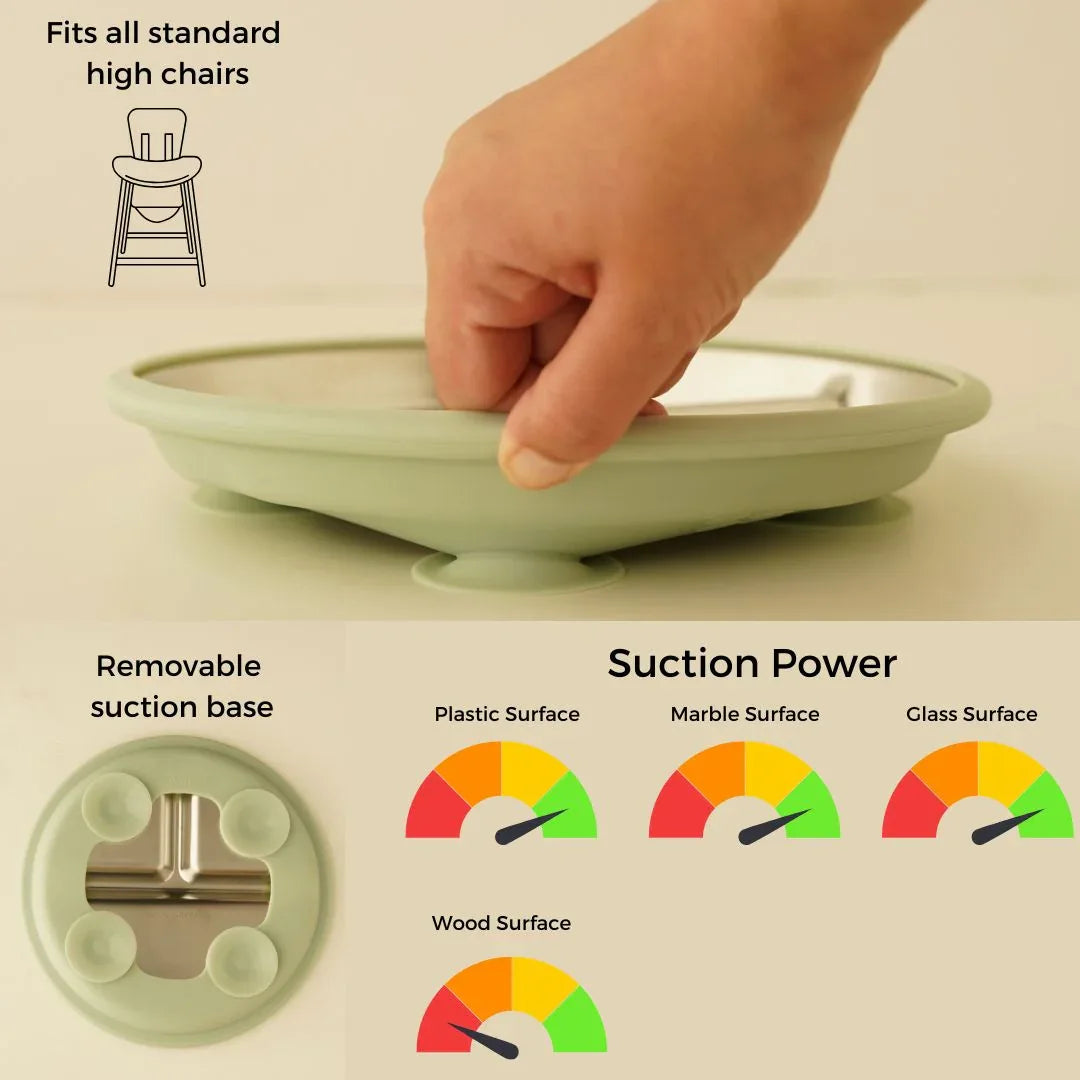 Stainless Steel Toddler Feeding Set 12+ Months- Sage Green - BIG FRENCHIES