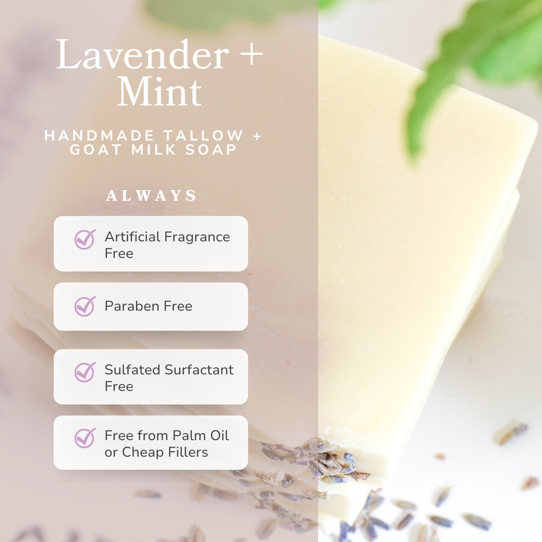 Lavender + Mint Handmade Tallow and Goat Milk Soap Bar - BIG FRENCHIES