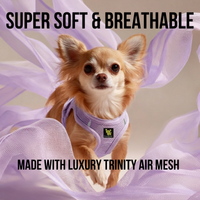 EcoBark Lavender Step In Dog Harness - Reflective Soft Mesh Harness for Teacup, Small Dogs and Puppies - BIG FRENCHIES