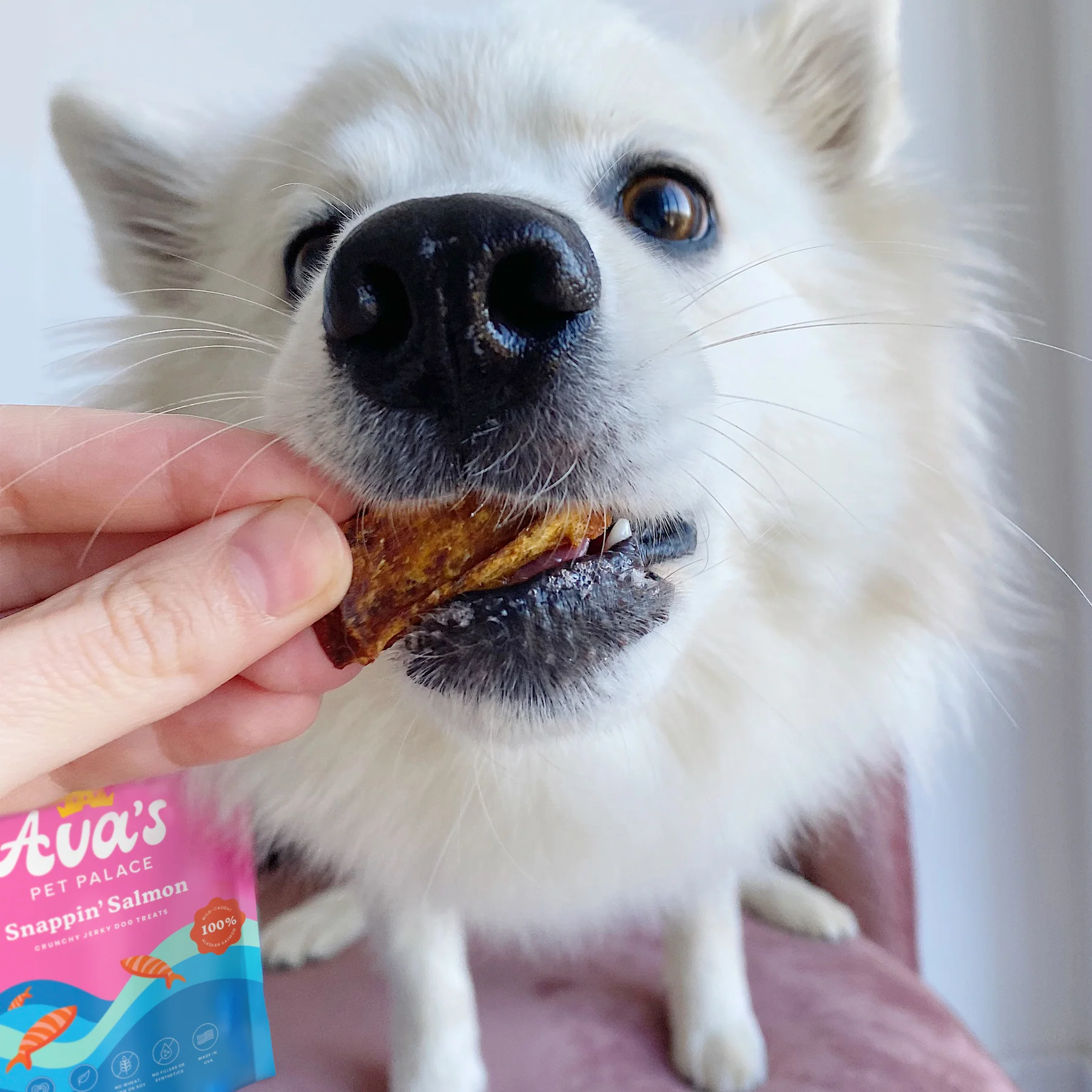 Ava's Pet Palace Crunchy Jerky Dog Treats - Snappin' Salmon Treats (4 oz) - BIG FRENCHIES
