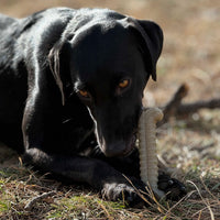 Tough Bone Nylon Chew Bone | Ultra-Durable Dog Toy for Aggressive Chewers | SodaPup - BIG FRENCHIES