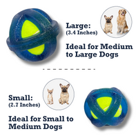 TPR-Coated Agility Tennis Ball Dog Toy – Durable & Pet-Safe - BIG FRENCHIES