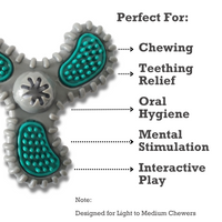 TPR Dental Spinner Dog Chew Toy – Durable Dental Care Fun for Light to Medium Chewers - BIG FRENCHIES