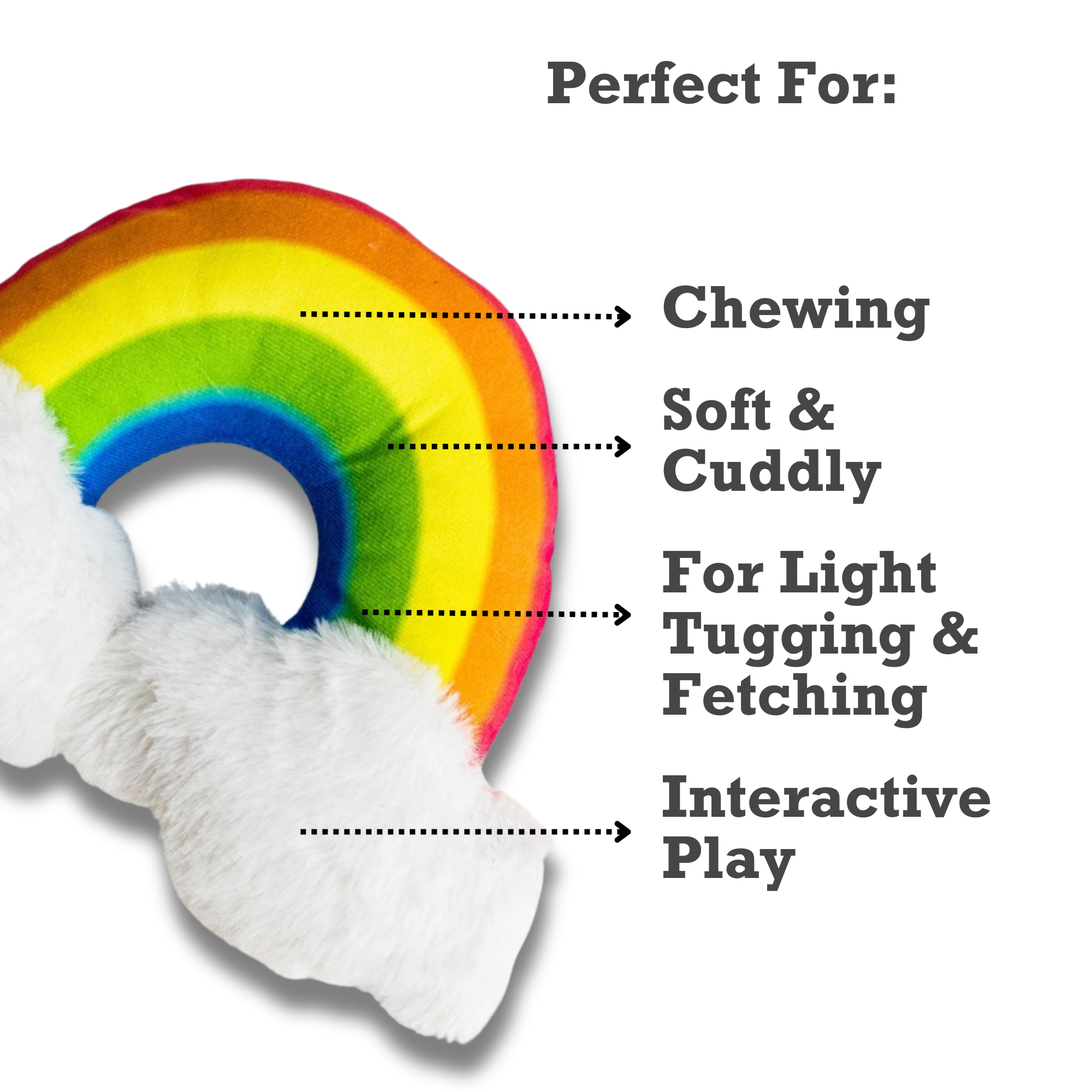 Enchanted Rainbow Magical with Squeaker & Crinkle Paper Plush Dog Toy - BIG FRENCHIES