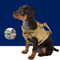 Tactical Puppy Harness Leash Set – Adjustable Military-Style Vest for Small Dogs & Cats, Ideal for Training & Walking - BIG FRENCHIES