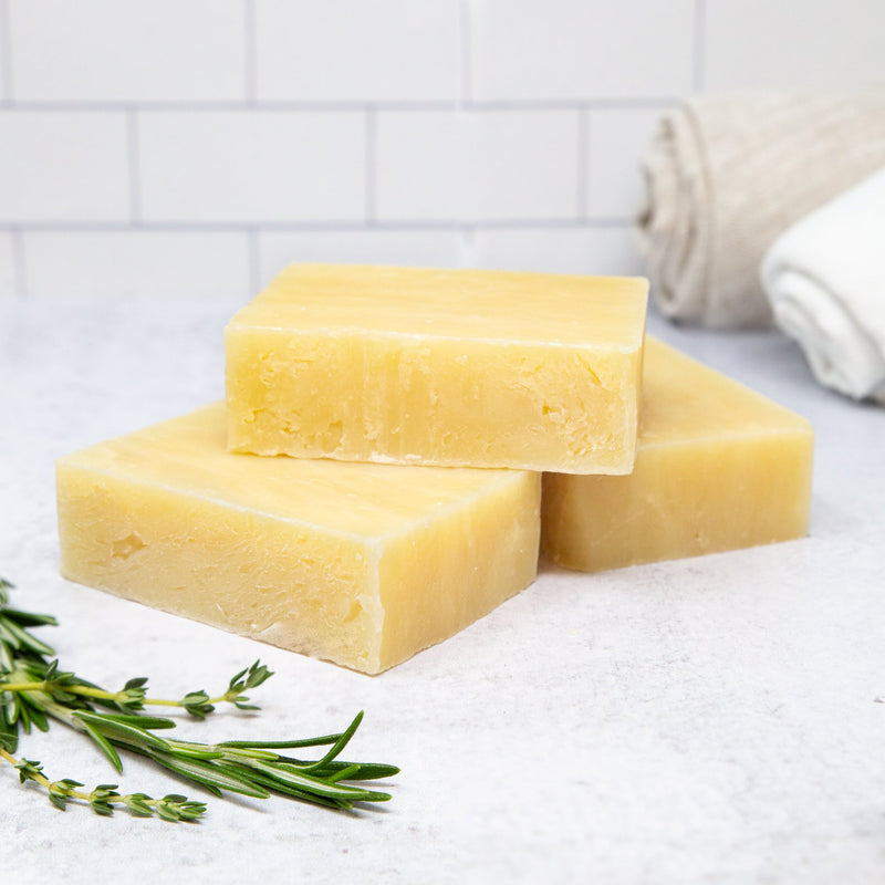 Take Down Soap Bar - BIG FRENCHIES