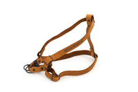Sport Style Leather Step In Harness - BIG FRENCHIES
