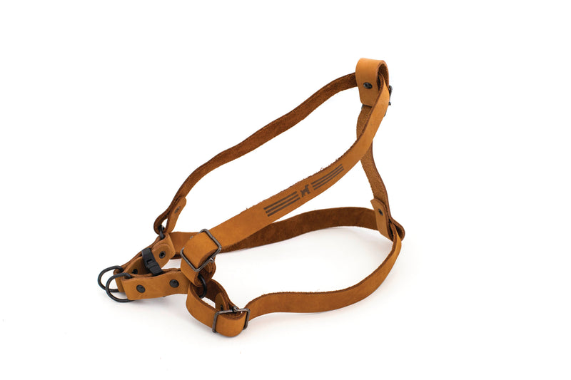 Sport Style Leather Step In Harness - BIG FRENCHIES