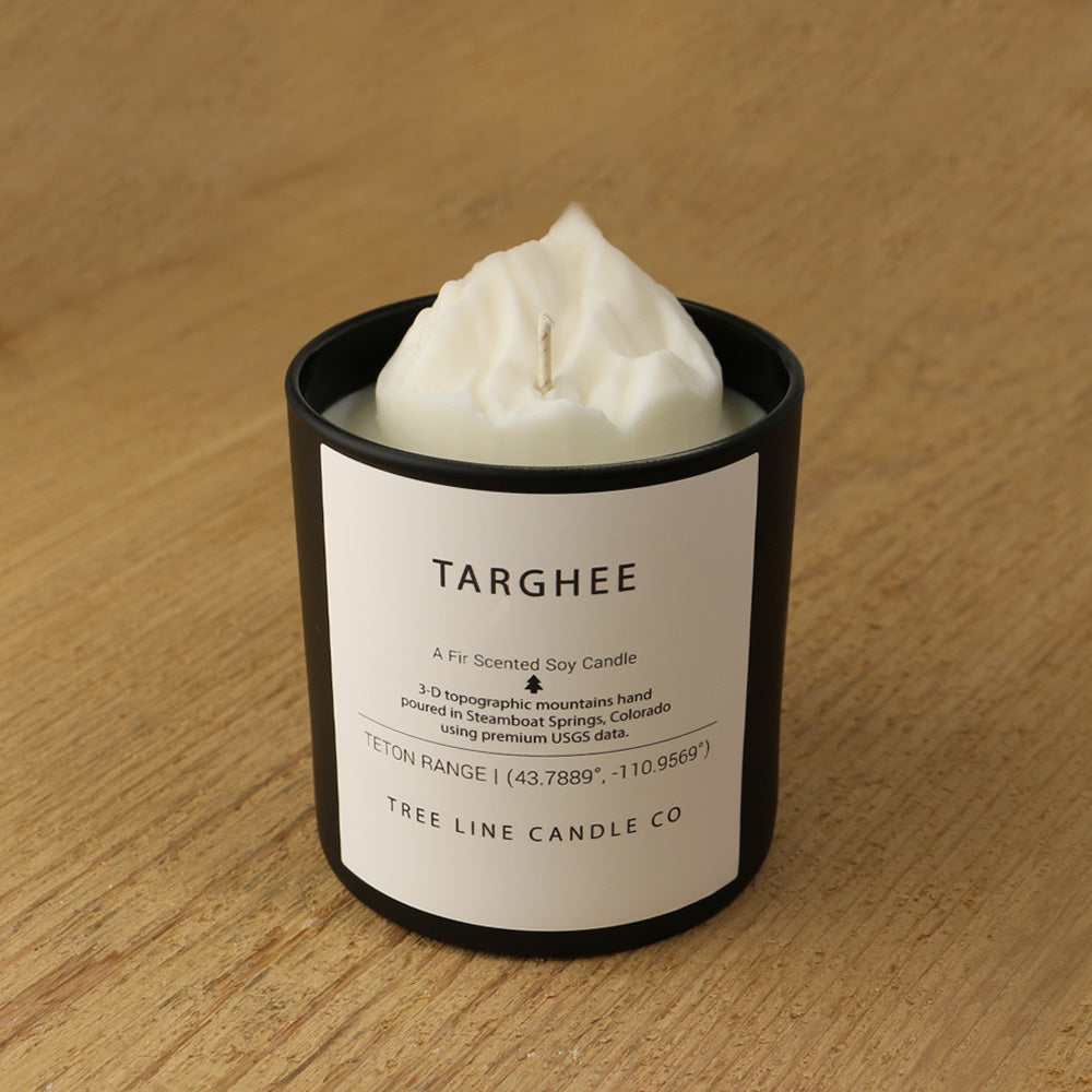 Targhee Mountain Candle - BIG FRENCHIES