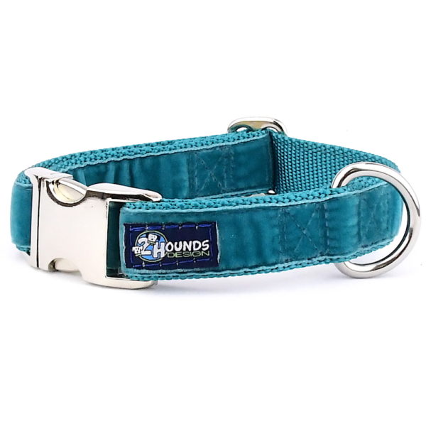 Teal Velvet Essential Dog Collar-Pet Collars & Leashes-BIG FRENCHIES-2 Hounds Design