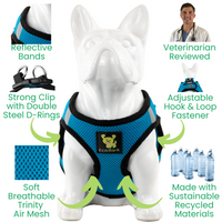 Teal Step In Dog Harness - Rapid Fastener Reflective Soft Mesh Vest Halter for Puppies and XXXS to Small Dogs - BIG FRENCHIES