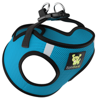 Teal Step In Dog Harness - Rapid Fastener Reflective Soft Mesh Vest Halter for Puppies and XXXS to Small Dogs - BIG FRENCHIES