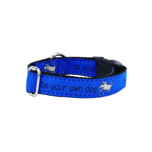 1″ Be Your Own Dog Teddy The Dog – Blue Essential Dog Collar-Pet Collars & Leashes-BIG FRENCHIES-2 Hounds Design