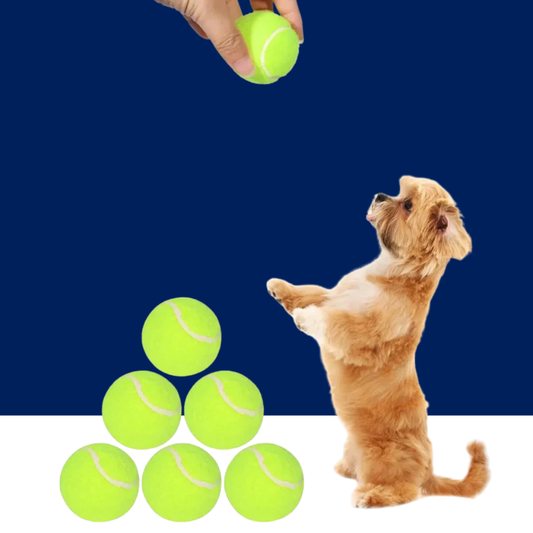 Tennis Balls for Dogs – 2-Inch Small Dog Balls Compatible with Automatic Ball Launchers (12 Pack) - BIG FRENCHIES