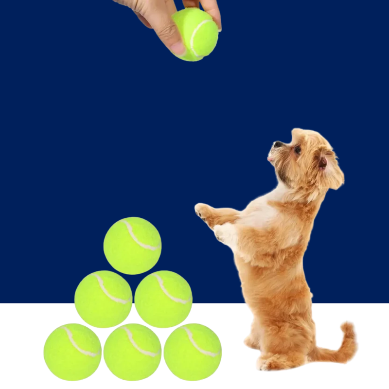 Tennis Balls for Dogs – 2-Inch Small Dog Balls Compatible with Automatic Ball Launchers (12 Pack) - BIG FRENCHIES