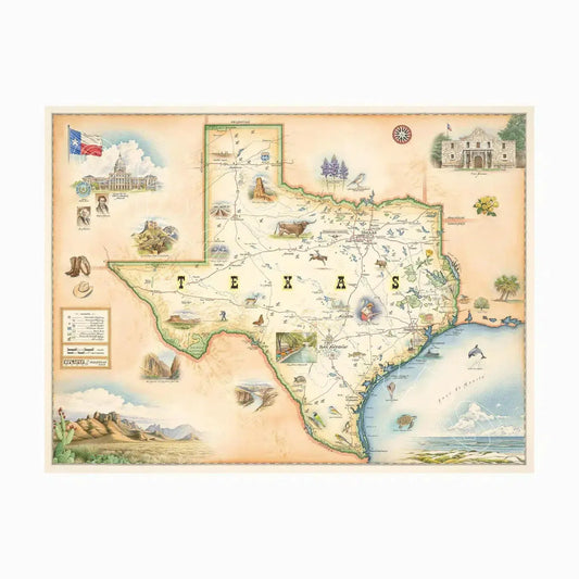 Texas State 1000 Piece Jigsaw Puzzle Xplorer Maps - BIG FRENCHIES