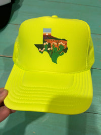 Texas Scene Trucker Hat - BIG FRENCHIES