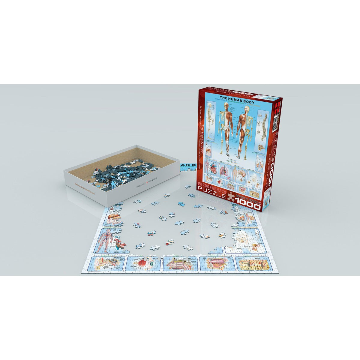 The Human Body 1000 Piece Jigsaw Puzzle Eurographics