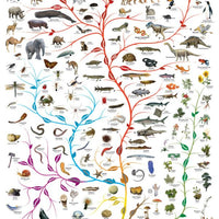 The Tree of Life 1000 Piece Jigsaw Puzzle Eurographics