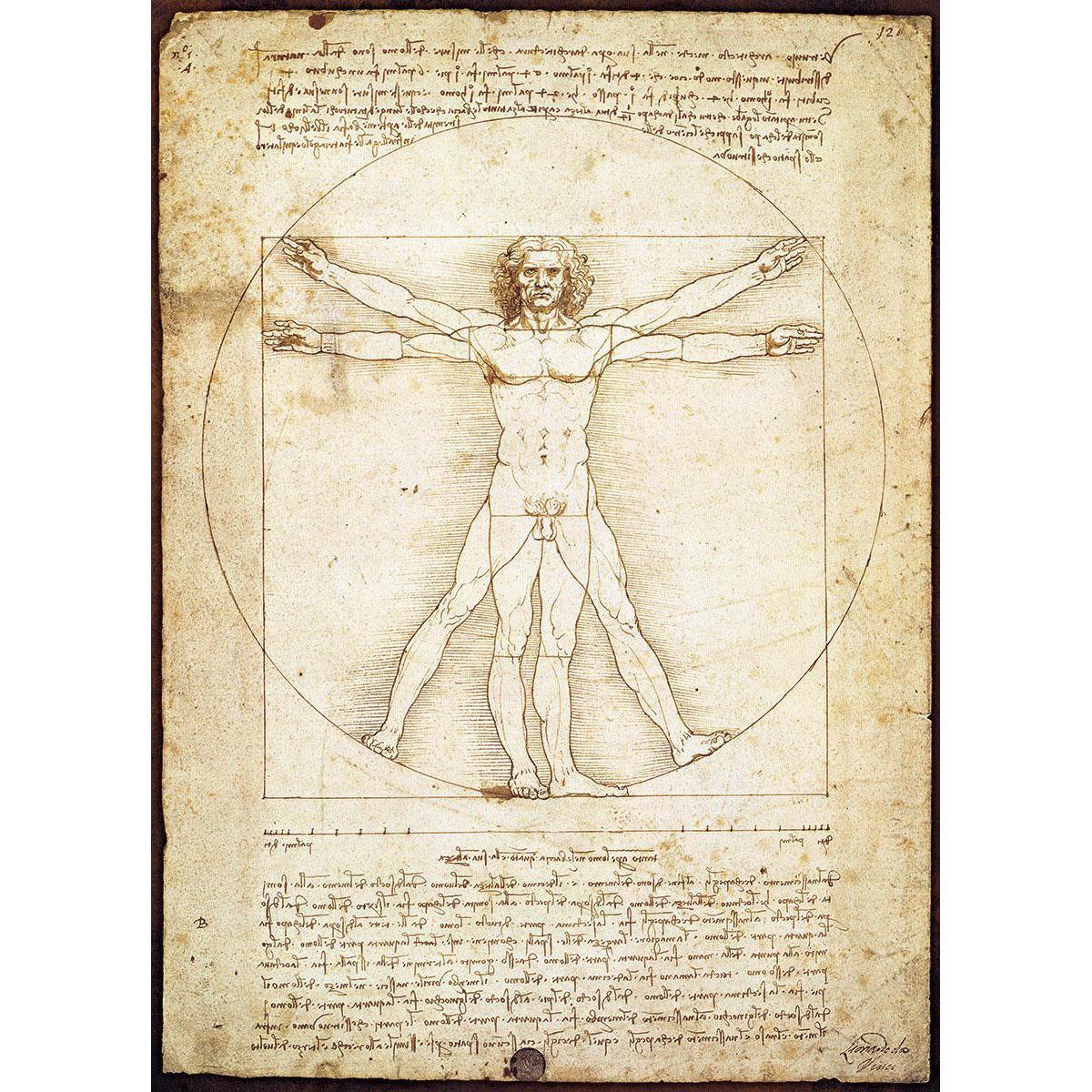 The Vitruvian Man 1000 Piece Jigsaw Puzzle Eurographics - BIG FRENCHIES