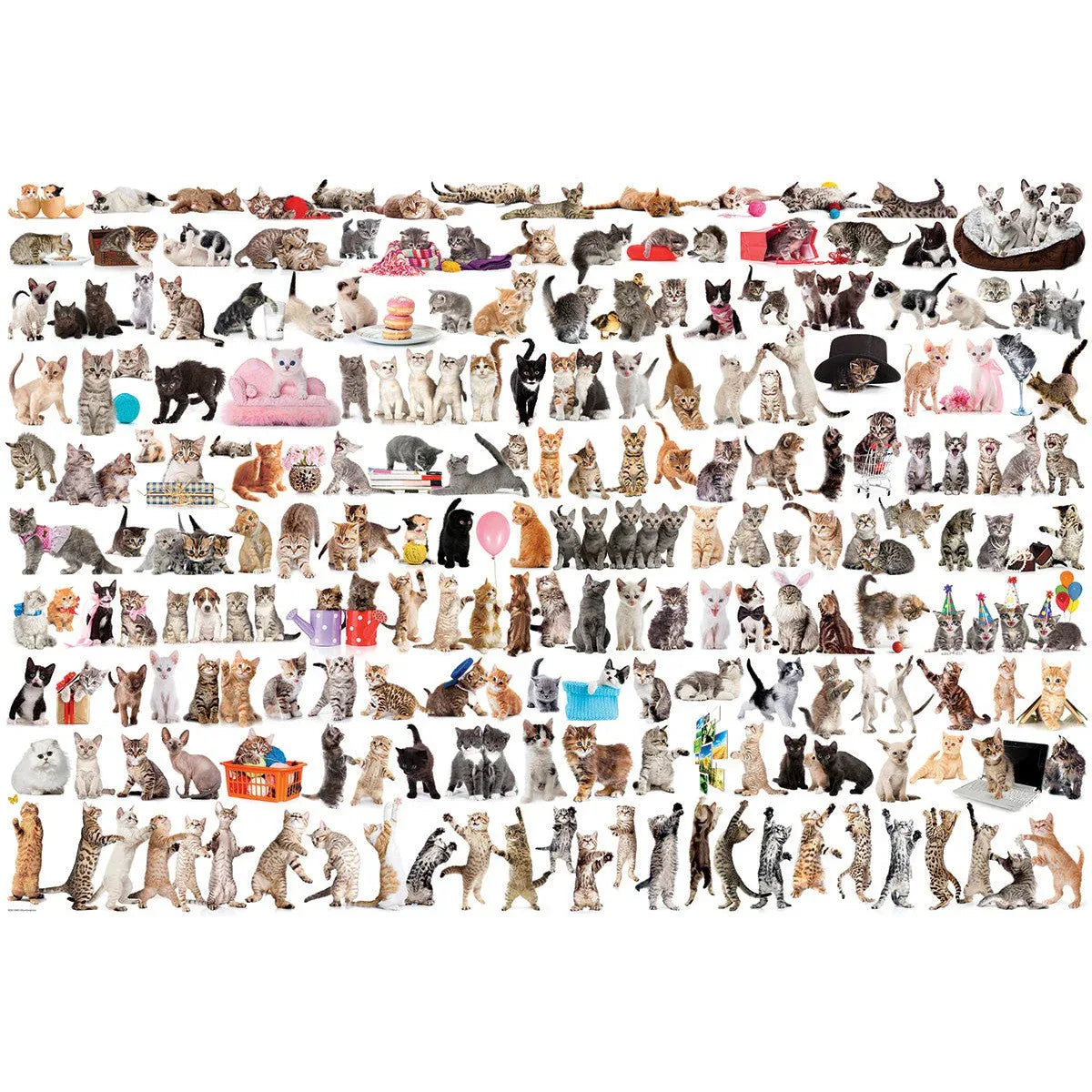 The World of Cats 2000 Piece Jigsaw Puzzle Eurographics - BIG FRENCHIES