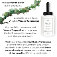 Hoof Oil for Horses