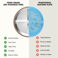 Stainless Steel Plate Set of 2 (Mocha Mousse & Sage Green)