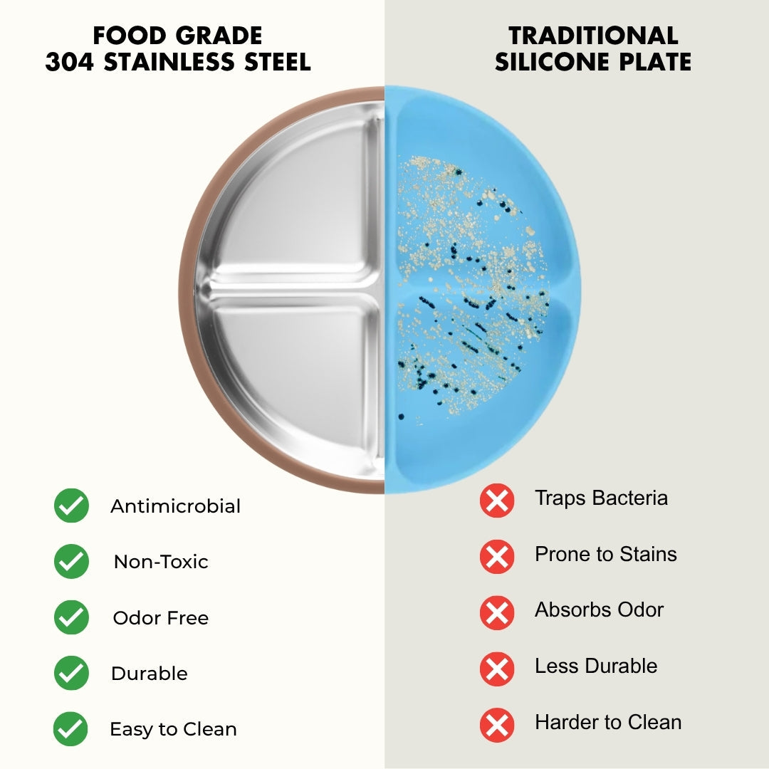 Stainless Steel Plate Set of 2 (Mocha Mousse & Sage Green)