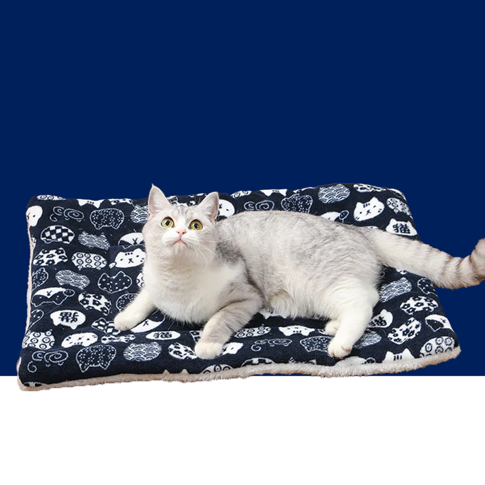 Thicken Flannel Cat Mat – Soft Winter Sleeping Cushion for Cats & Small Dogs - BIG FRENCHIES