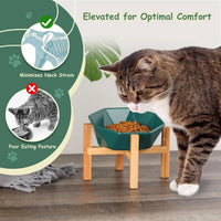 Tilted Elevated Ceramic Pet Bowl with Bamboo Stand | Modern Feeding Dish