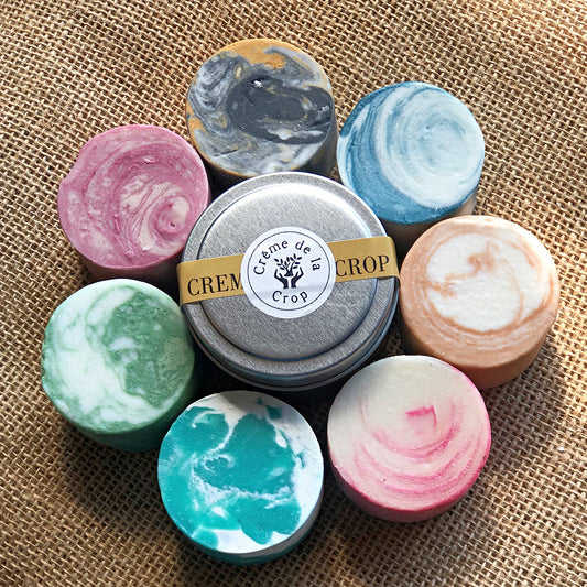 Shampoo Bar - Various Scents - BIG FRENCHIES