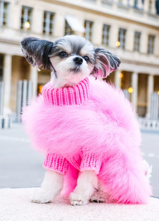 Haute Couture Feathered Luxury Pet Sweater - BIG FRENCHIES