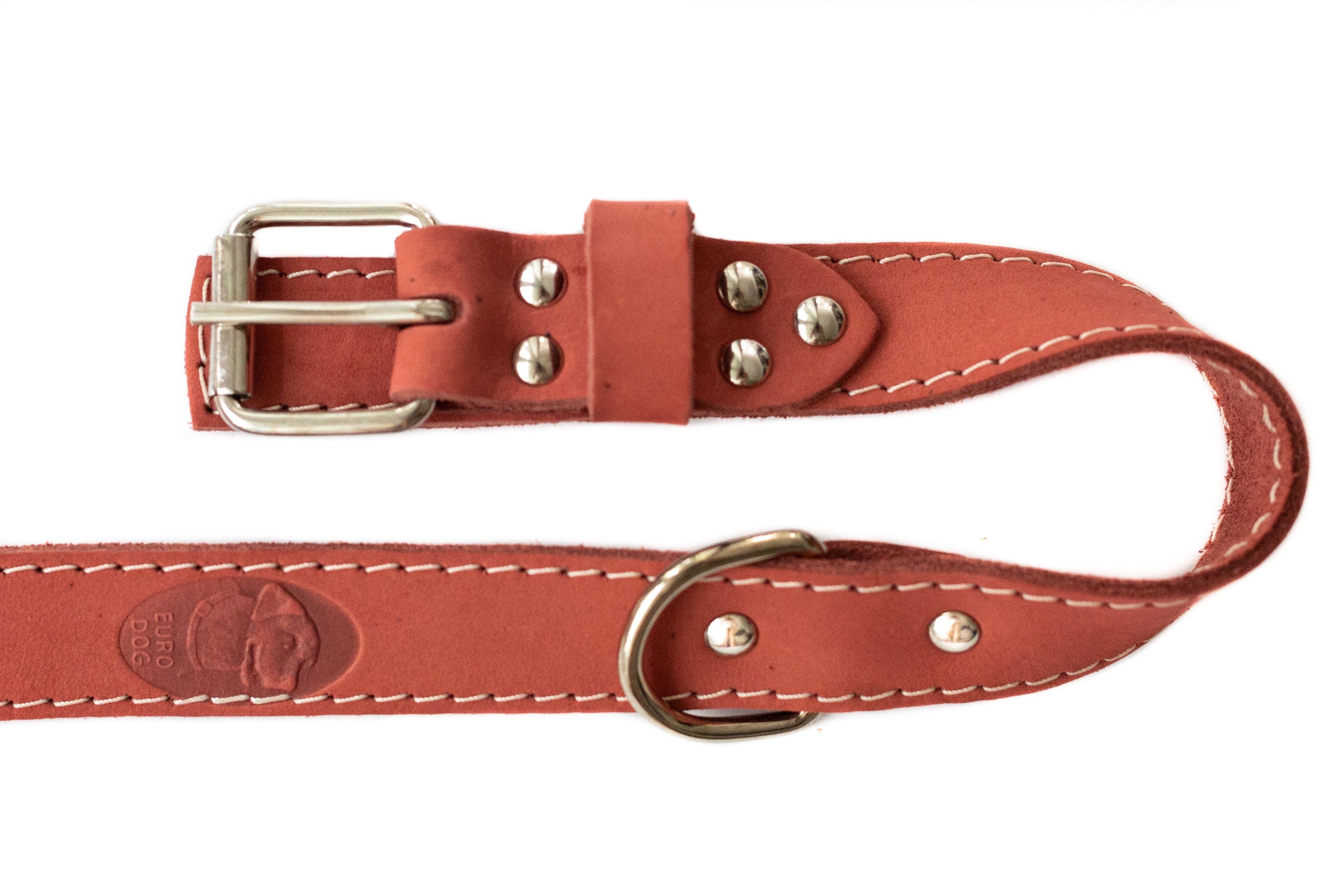 Pro Line Hunting Leather Collar and Leash Set - BIG FRENCHIES