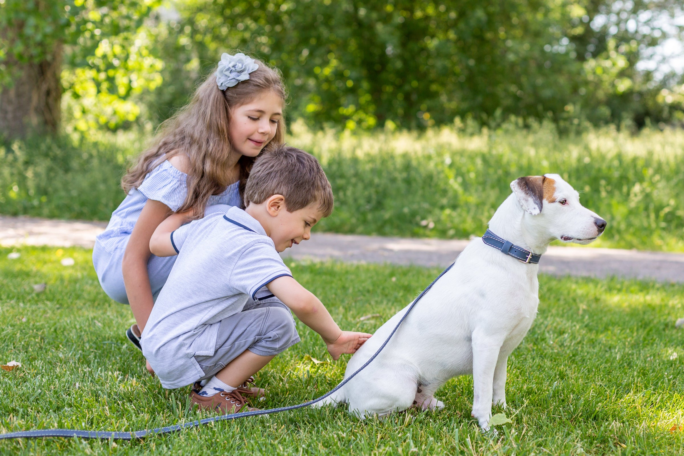 Pro Line Hunting Leather Collar and Leash Set - BIG FRENCHIES