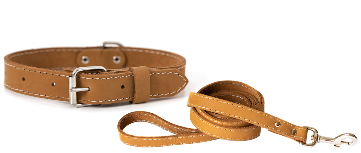 Pro Line Hunting Leather Collar and Leash Set - BIG FRENCHIES