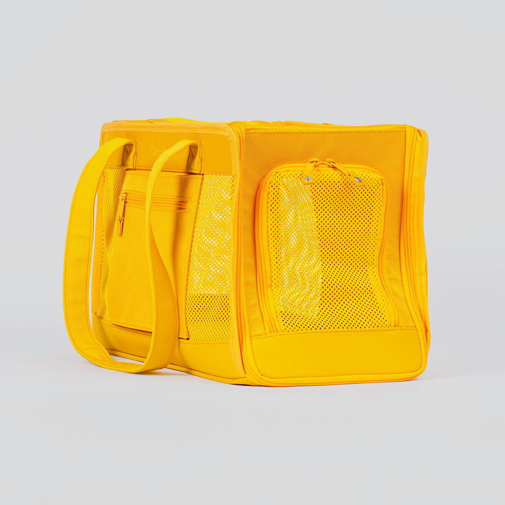 Sunburst Yellow Pet Travel carrier - BIG FRENCHIES